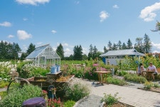 캐나다는 지금 유픽 (U-Pick)시즌 ~ 베리,체리 모두 베리굿! : 네이버 포스트 | 베리, 상장, 체리