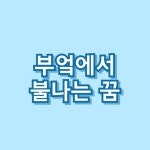 부엌에서 불나는 꿈 물로 불 끄는 꿈 불 꿈 복권 로또 73가지 총정리