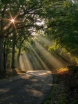 Sun shine에 관한 상위 25개 이상의 Pinterest 아이디어 | 해돋이, 스페인 및 노란색