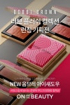 [뷰티No.1 할인/이벤트] 사랑스럽게 빛나는 로맨틱 무드의 한정판 컬렉션 바비브라운 ‘러브 플러쉬 컬렉션’을 지금 만나보세요! NEW 옴브레... 