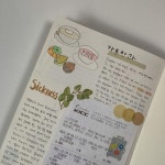 솔마의 기록장 (@solma._diary) · Instagram 照片和视频 - 2022