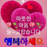 Pin page card에 있는 김길님의 핀 | 생일 아이디어, 감사 이미지, 생일 감사