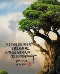노하기를 더디 하는 것이 사람의 슬기요 노하기를 더디 하는 것이 사람의 슬기요 - 2024 | 성경, 성경 구절, 갤러리