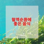 혈액순환에 좋은 음식 - 2020 | 좋은 음식, 체중감량, 해몽