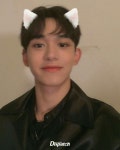 루카스 [ Lucas ] | Ayı