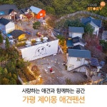 사랑하는 애견과 함께하는 공간, 가평 제이몽 애견펜션 | 애견 놀이터, 애견, 강아지