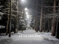 늘상 오는 오늘의 끝에서