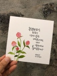 [제주 캘리그라피] 수채화일러스트 : 네이버 블로그 - 2020 | 그림 그리기 활동, 그림 그리기, 그림