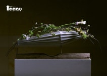 독일 FDF 플로리스트 국제자격증 시험 및 데몬스트레이션 - FT_News in 2020 | Floral design, Floral, Design