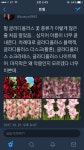 기타 연성자료에 있는 주영 양님의 핀 | 꽃말, 글쓰기 아이디어, 꽃 의미
