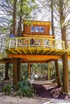 Tree Houses에 관한 175개의 최상의 Pinterest 이미지 Tree Houses