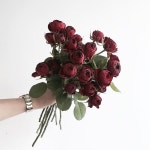 시상 고와라 ❣️ . . #lesson #Order 👉🏻Katalk ID vaness52 클래스상시모집 당일꽃주문가능 WeChat ID vaness_flower E-mail va... 