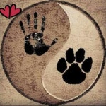 Pin de Sophia 2_ en 연필 드로잉 | Amantes de perros, Imagenes de perros, Perros mascotas