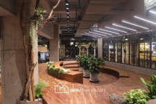 롯데마트 서울 양평점 어반 포레스트 실내조경(이미지 포함) | 조경, 발코니, 블로그