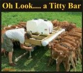 집에 있는 보민님의 핀 | 농장 동물, 농장, 동물