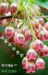 빠른 저장에 있는 SEOEUNSIL♡ 서님의 핀 | 좋은 아침 인사, 아침 인사, 삶의 교훈 인용구