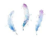 Pin page Pin by jojo j on 아크릴기초 | Watercolor feather, Hand painted walls, Wall murals painted