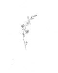 캘리에 있는 sunny님의 핀 | 꽃