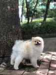 에이이엔디자인에 있는 CHO SungRae님의 핀