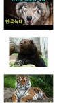 조선시대 선비님들의 고난 조선시대 선비님들의 고난 | Animals, History channel, Funny
