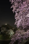 Pin page Pin by ㅤㅤㅤ on 동동 in 2024