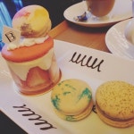 #쿠키블러썸 #구미맛집 #구미마카롱 #다쿠아즈 #다쿠아즈맛집 #디저트 #구미디저트 #들성지 #구미핫플 #문성맛집 #예쁜카페 #마카롱... 
