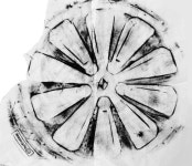 T117 B texture 김지원 29