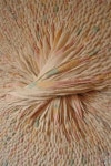 Wool, Silk and Thread Detail | Lisa DiQuinizo | 텍스타일 아트