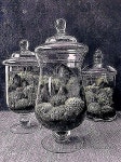 Pin by Raymond Heaney on 테라리움 in 2020 | Decorative jars, Home decor, Decor