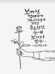 캘리에 있는 임아영님의 핀 - 2023 | 시