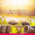 햇살 가득한 날 | 명언, 영감을 주는 인용구, 좋은 글귀