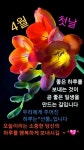 봄철 수공예 | 감사 이미지, 아름다운 말, 좋은 아침 인사