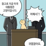 고양이는 귀엽잖아요 - 2023 | 재미있는 문구, 웃긴 밈, 웃긴 표지판