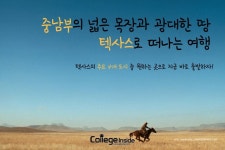 넓은 목장과 광대한 땅 “텍사스 여행지 총 정리” | Poster, Movie posters, Movies