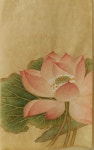 출수부용도 (3) 순지 출수부용도 (3) 순지 | Lotus flower art, Lotus flower painting, Lotus painting