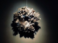 Wreath | 리스