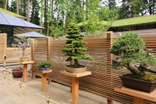 Ellie M. Hill Bonsai Terrace - Portland Japanese Garden | Japanese garden landscape, Portland japanese garden, Small courtyard... 