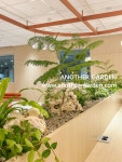 LOréal Icheon DC 직원식당 / 어나더가든 LOréal Icheon DC 직원식당 / 어나더가든 in 2024 | Garden projects, Garden, Projects