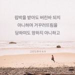 핍박을 받아도 버린바 되지 아니하며 거꾸러뜨림을 당하여도 망하지 아니하고 (고린도후서 4장9절)