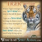 Zen에 관한 103개의 최상의 Pinterest 이미지 | 수정, 정신적 및 Healing crystals Zen