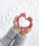 Navi Lerman adlı kullanıcının winter love panosundaki Pin, 2022 | Soyut çiçek resimleri, Fotoğrafçılık... 