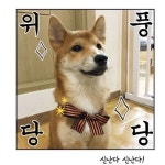 도연이가 위풍당당한 이유는?😏 ㅤㅤ #어디서나_당당하게_걷기