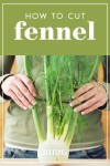 How to Chop Fennel 3 Different Ways | Fennel salad, Fennel recipes, Baked fennel