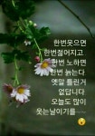 오늘도 웃는 날 되시길 바랍니다. 오늘도 웃는 날 되시길 바랍니다. | 좋은 아침 인사, 남성 건강, 신년카드