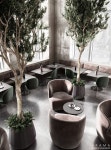 Get the best lighting and furniture inspiration for your restaurant project! Look for more at luxxu.net | 인테리어, 조경