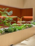 LOréal Icheon DC 직원식당 / 어나더가든 LOréal Icheon DC 직원식당 / 어나더가든 in 2024 | Garden projects, Garden, Projects