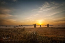 A peaceful morning - 소래습지 공원의 일출 | Cool landscapes, Beautiful landscapes, Nature photos