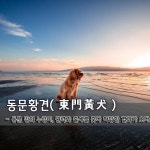 동문황견東門黃犬 - 동문 밖의 누렁이, 권력과 출세를 좇다 허망한 결과가 오다. 동문황견東門黃犬 - 동문 밖의 누렁이, 권력과 출세를 좇다... 