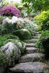 gardends에 관한 25개의 최상의 Pinterest 이미지 | 아름다운 정원, 정원 가꾸기 및 조경 gardends