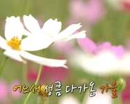 어느새 성큼 다가온 가을 어느새 성큼 다가온 가을 in 2024